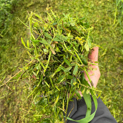 Toprağımızı Beslemek için Neler Yapıyoruz?